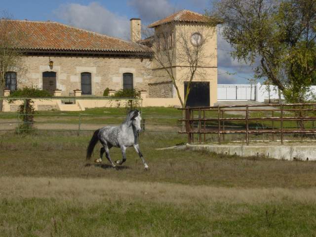 CTR La Torrecilla